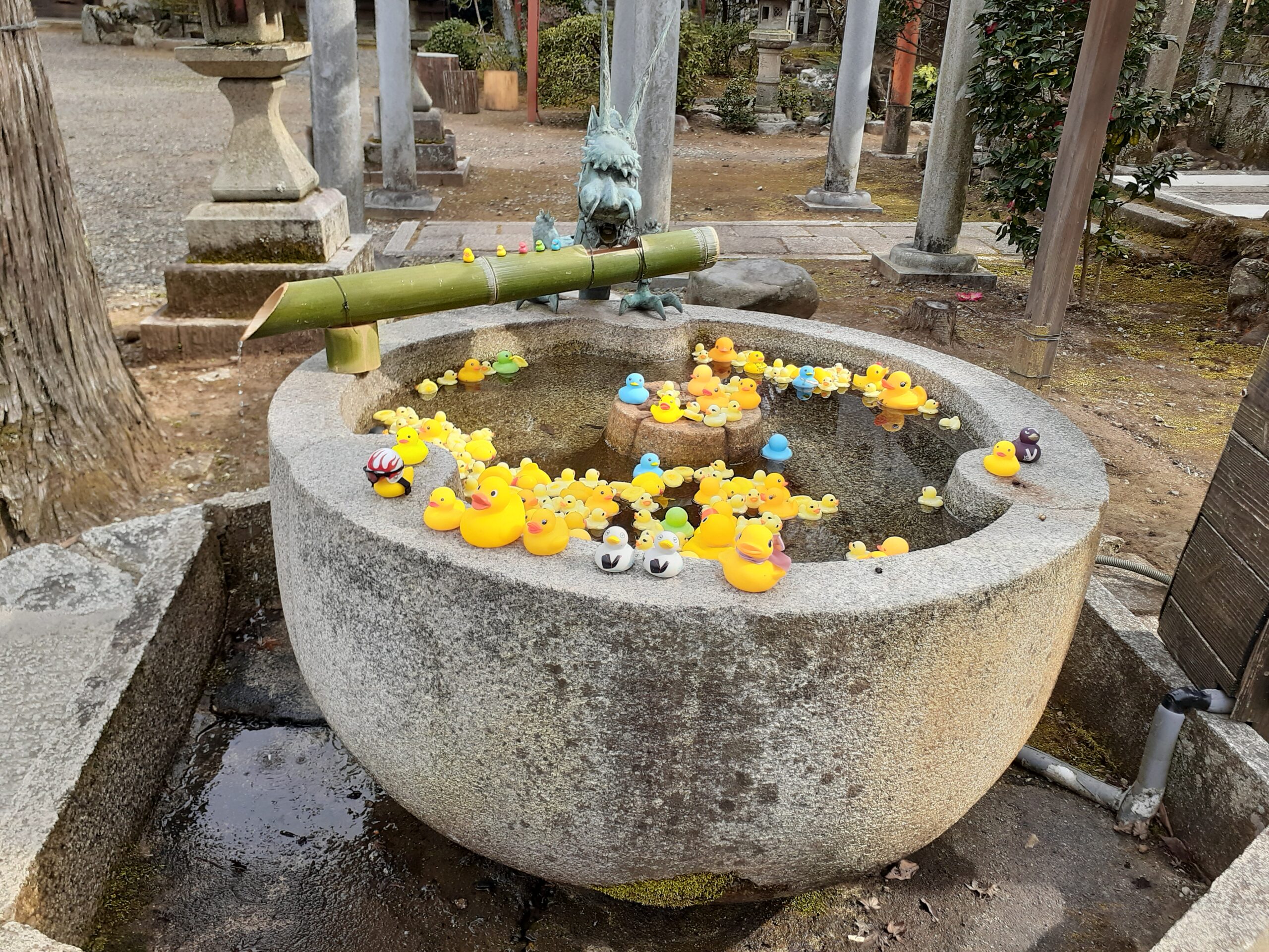 京都　十六社　粟田神社